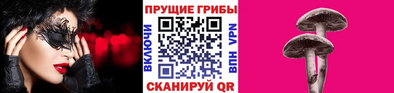 купить наркотики сайты  Духовщина  Псилоцибиновые грибы мухоморы 